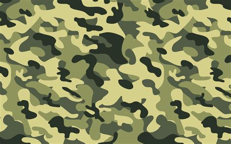 camouflage .